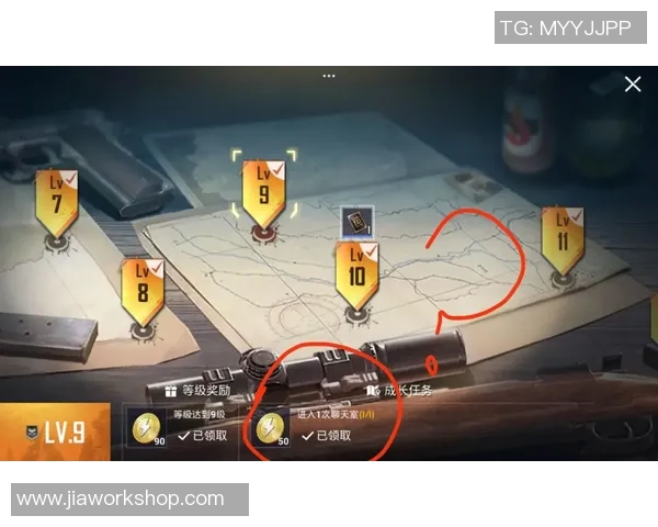 深度对话：探索杨芳在和平精英中的成长与奋斗历程