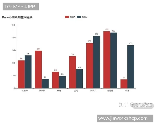 深圳篮球队个人能力分析与数据解读探讨 深圳篮球队个人能力分析与数据解读探讨