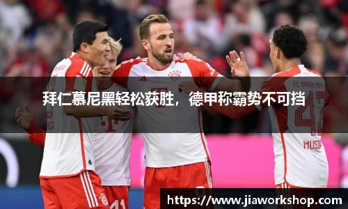bibo必博官网