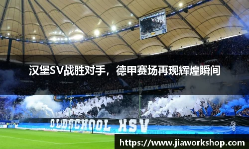 bibo必博官网
