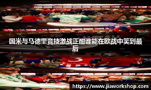 bibo必博官网