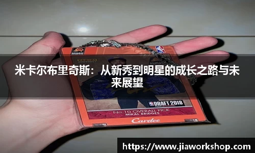 bibo必博官网