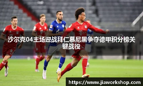 bibo必博官网