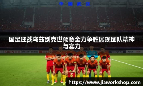 bibo必博官网
