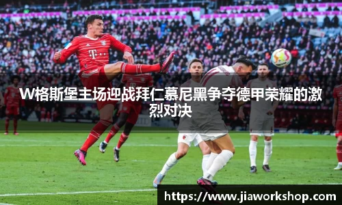 必博bibo