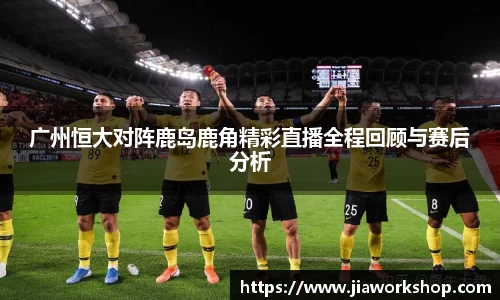 bibo必博官网