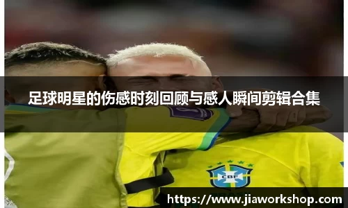 bibo必博官网