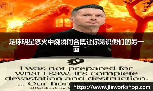 必博bibo