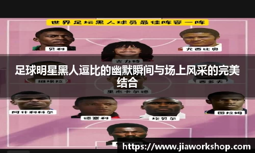 bibo体育