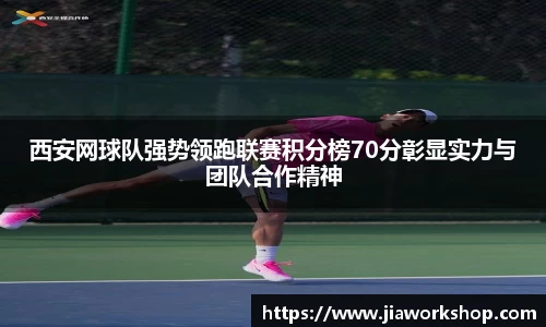 必博bibo