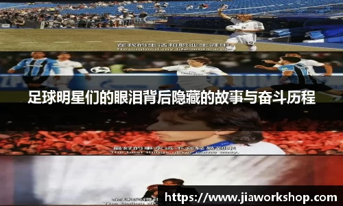 必博bibo